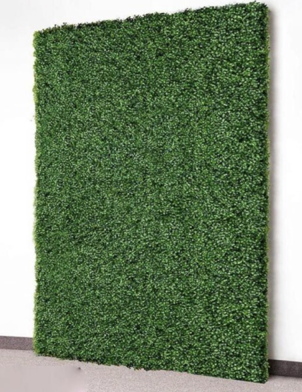 Green boxwood hedge wall